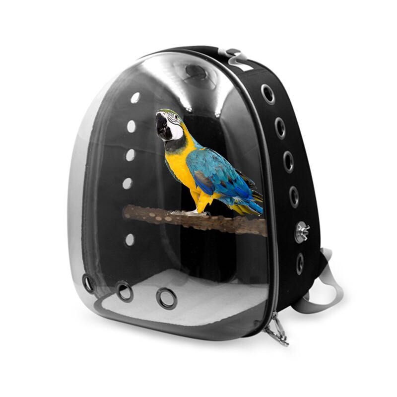 PET SUPPLIES